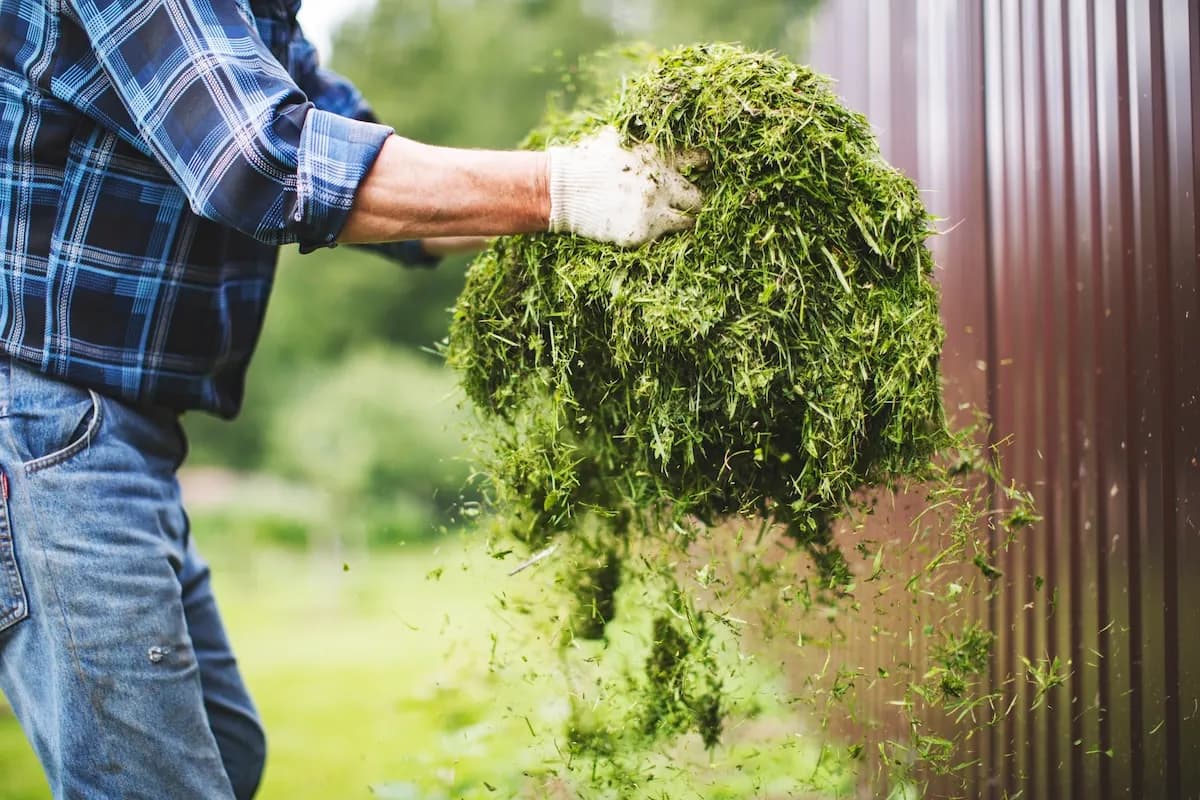 Garden maintenance placeholder